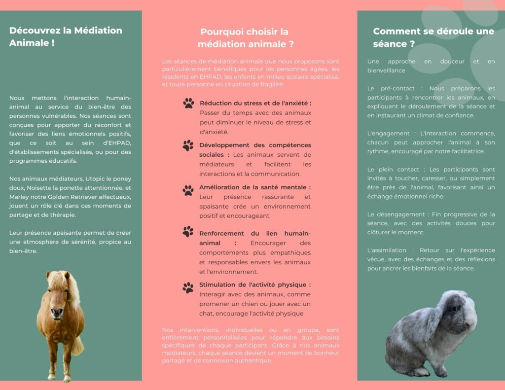 Dépliant Médiation animale 2024-2025 de Museaux et Sabots Médiation animale Lille Zoothérapie Lille