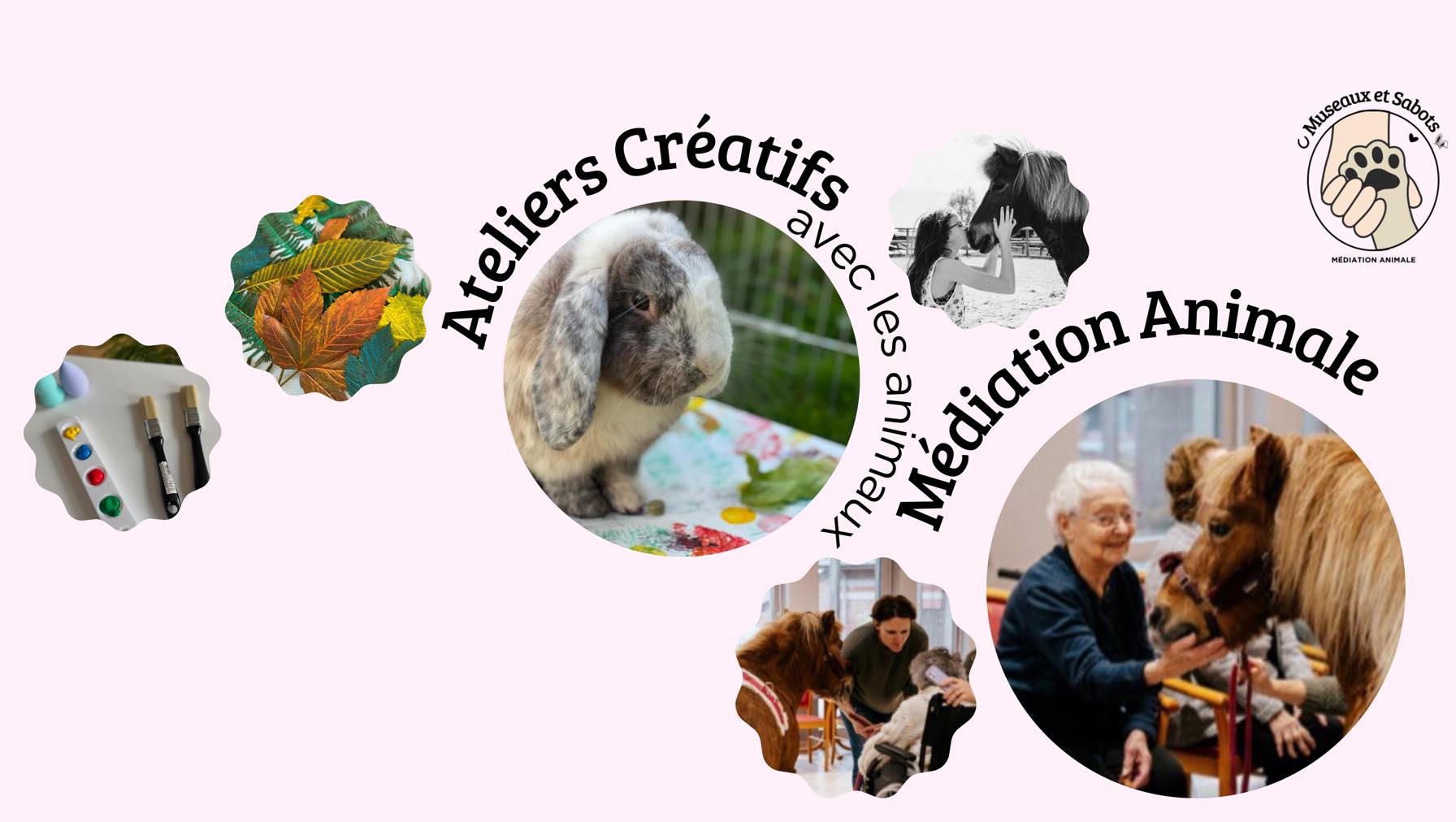 Médiation animale, Ateliers manuels et créatifs, près de Lille