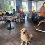 Médiation animale pour publics polyhandicapés avec un chien