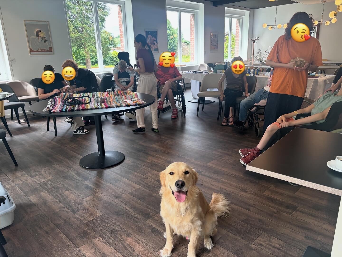 Médiation animale pour publics polyhandicapés avec un chien