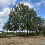 Ferme pédagogique à Orchies