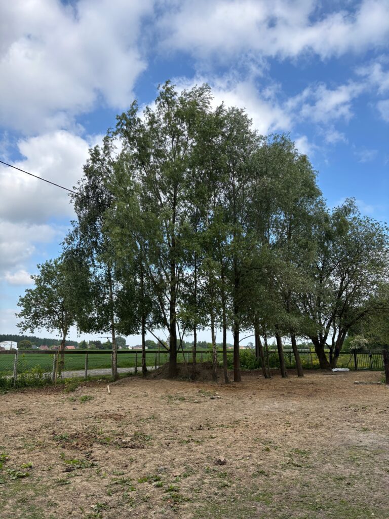 Ferme pédagogique à Orchies