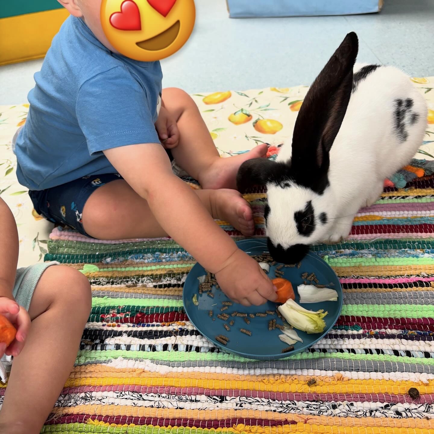 Médiation animale en crèche ou en relais petite enfance (RPE)