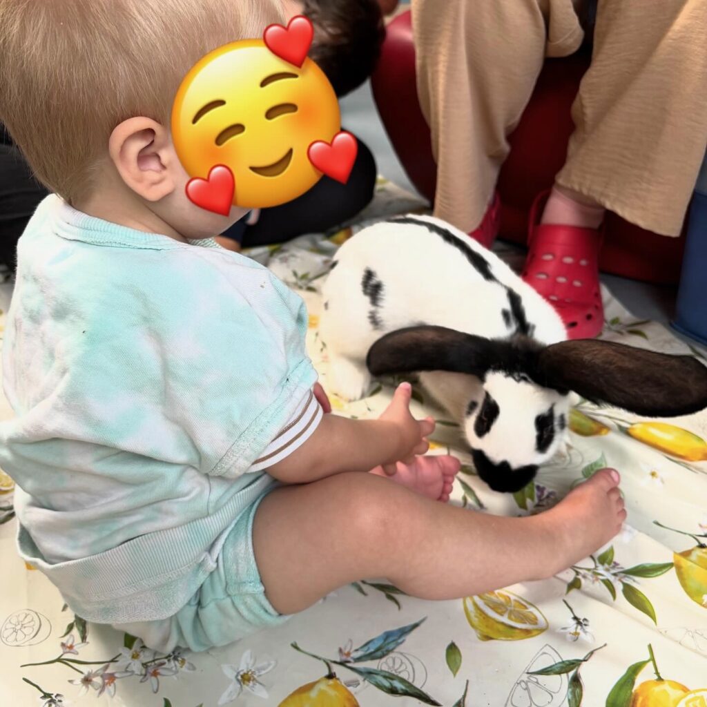 Médiation animale en crèche ou en relais petite enfance (RPE)