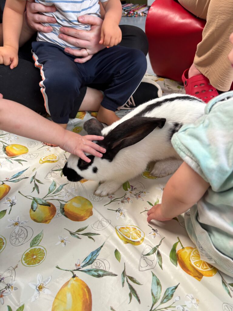 Médiation animale en crèche ou en relais petite enfance (RPE)