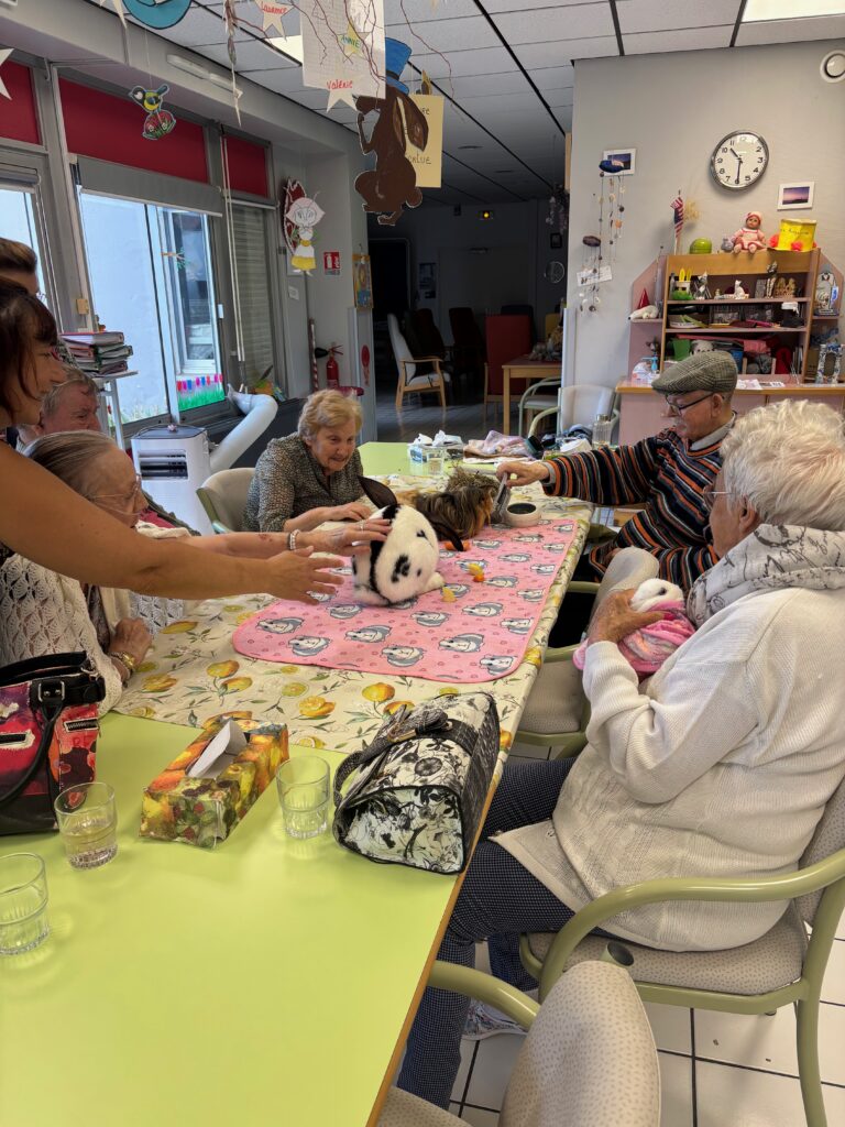 Médiation animal en Ehpad