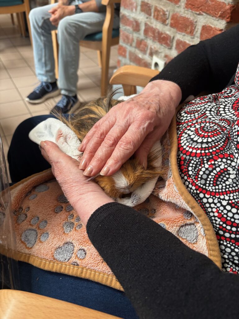 Médiation animal en Ehpad