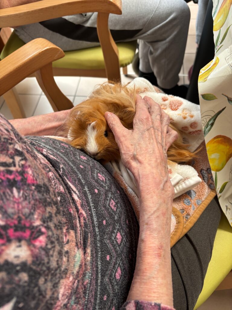 Médiation animal en Ehpad