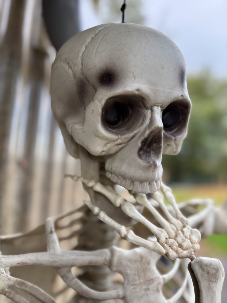 Halloween à la ferme Museaux et Sabots