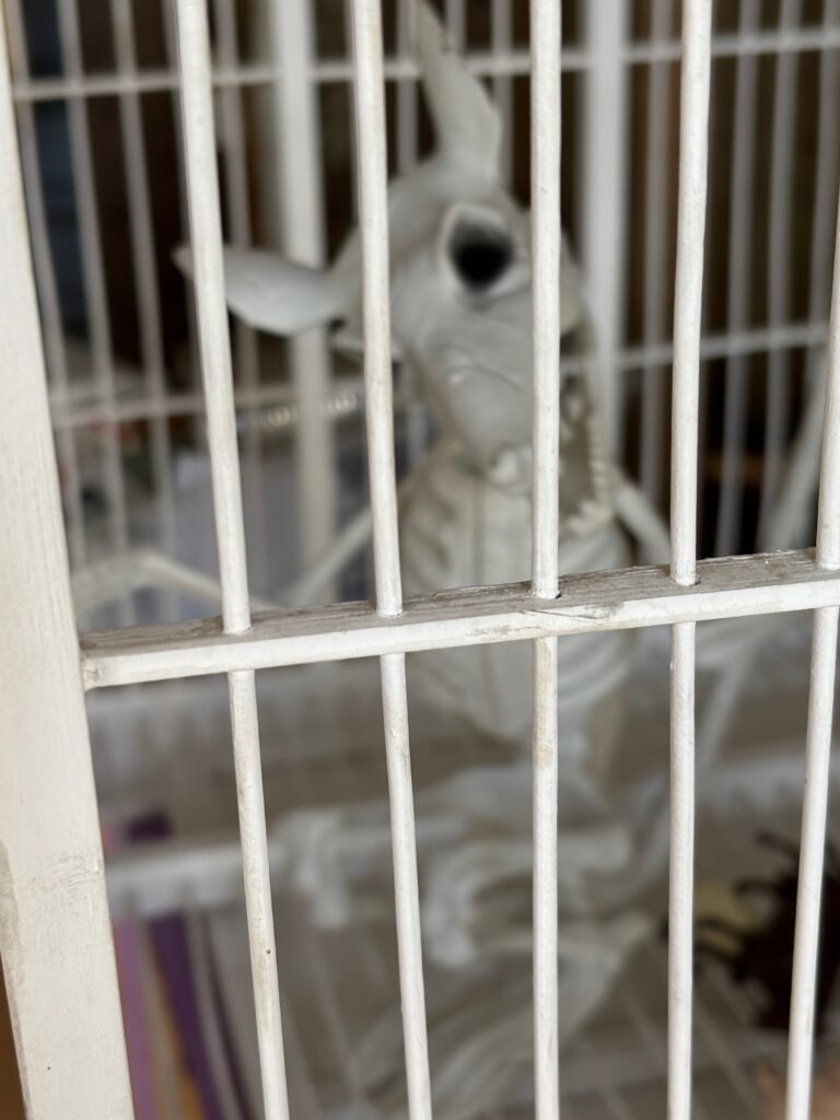 Halloween à la ferme Museaux et Sabots