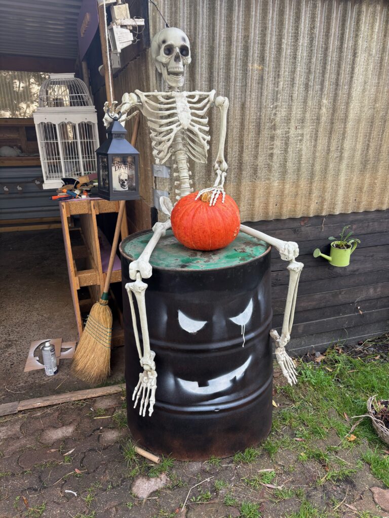 Halloween à la ferme Museaux et Sabots