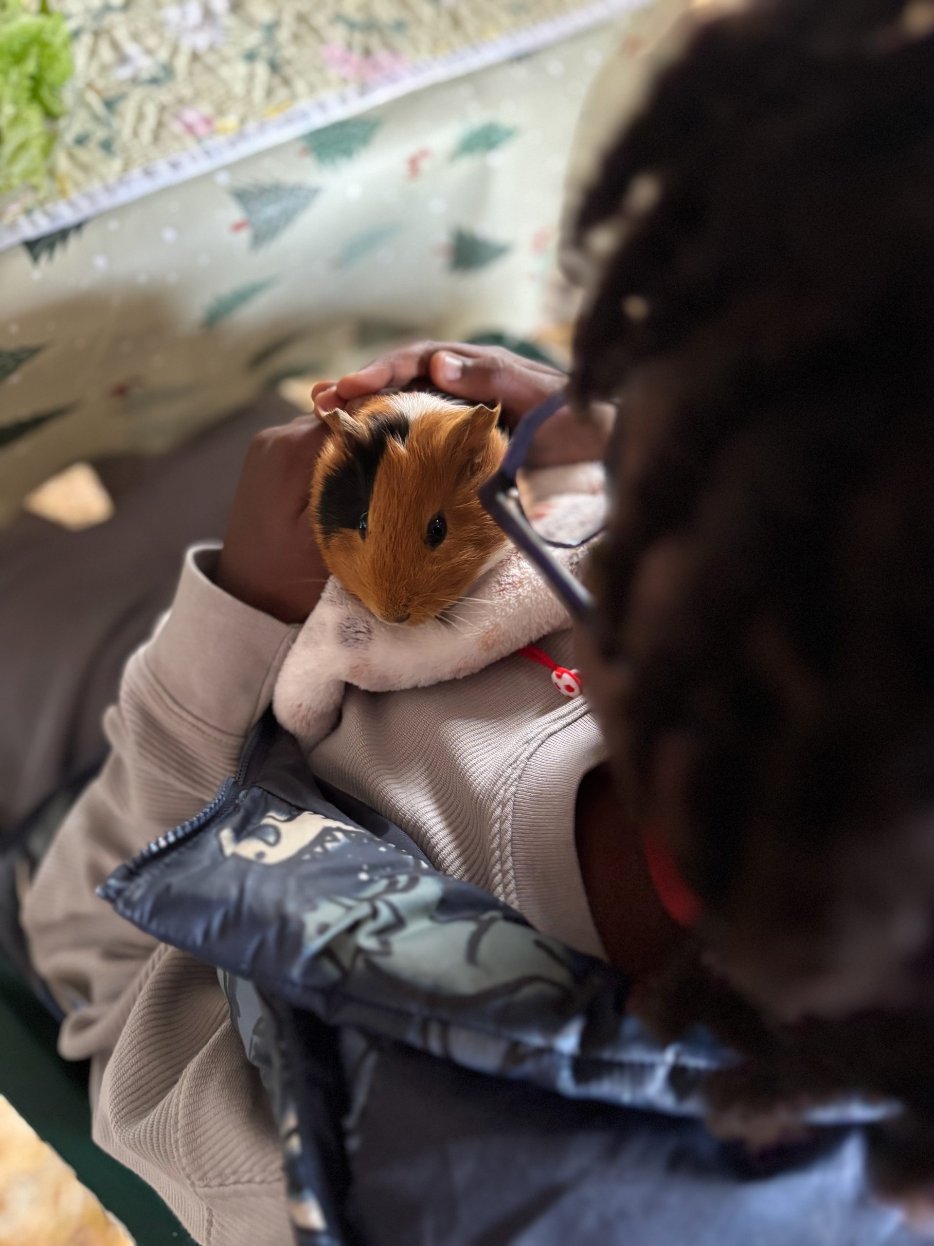 Visite à la ferme pour les jeunes de l’IME de Douai-Dorignies : médiation animale, ateliers sensoriels et découverte des animaux avec Museaux et Sabots.