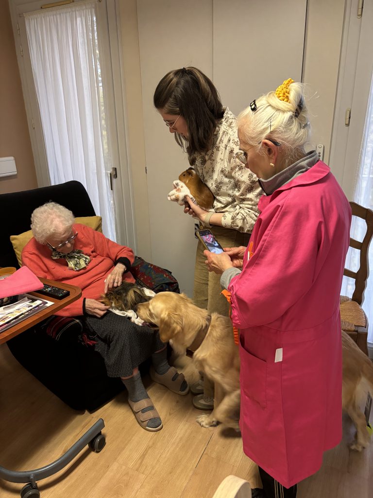 médiation animale EHPAD Armentières