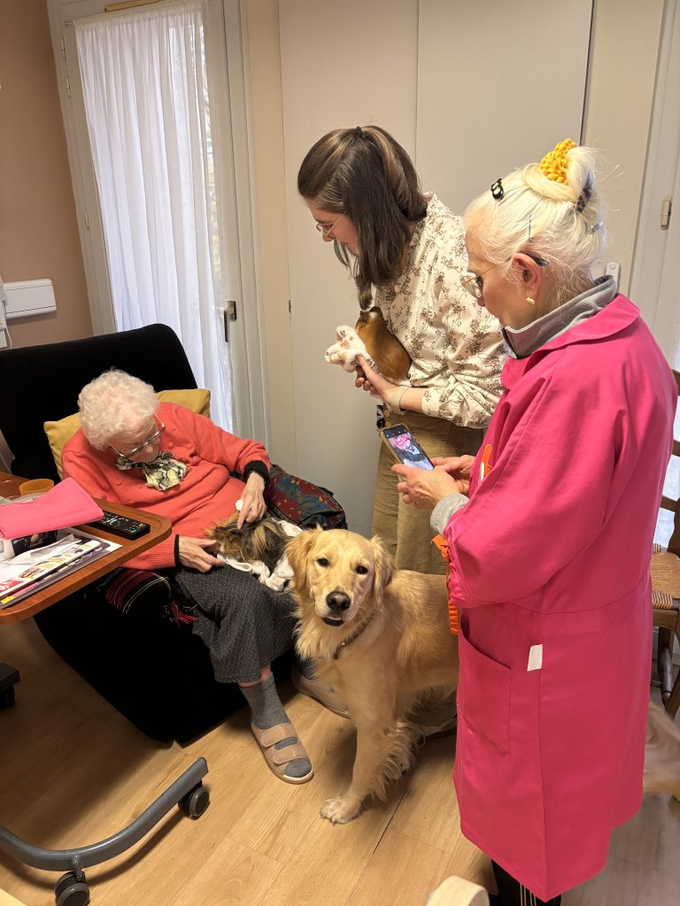 médiation animale EHPAD Armentières