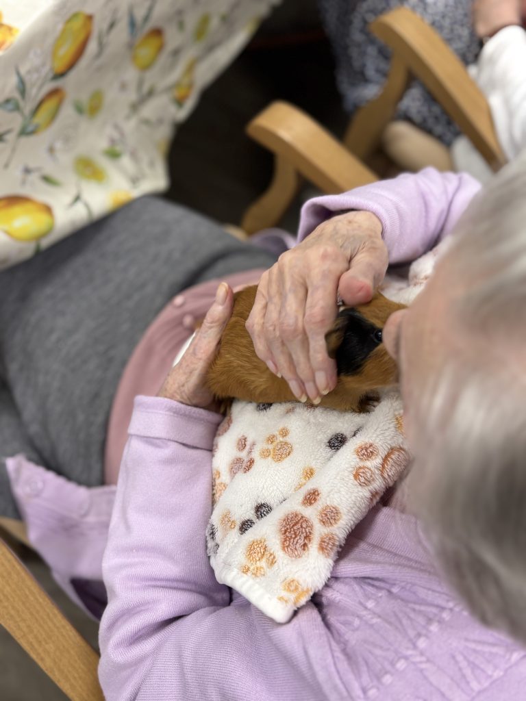 médiation animale EHPAD Armentières