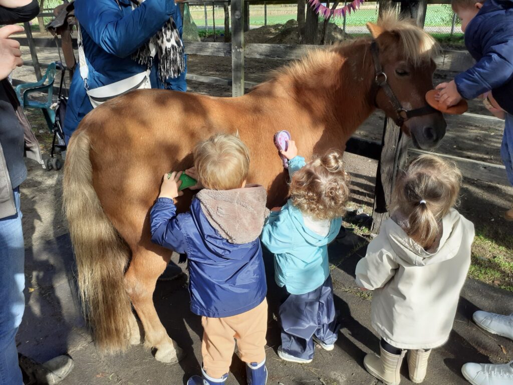 Médiation animale en crèche ou en relais petite enfance (RPE)