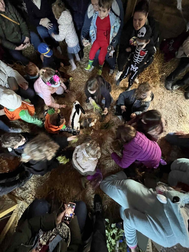 Halloween à la ferme Museaux et Sabots