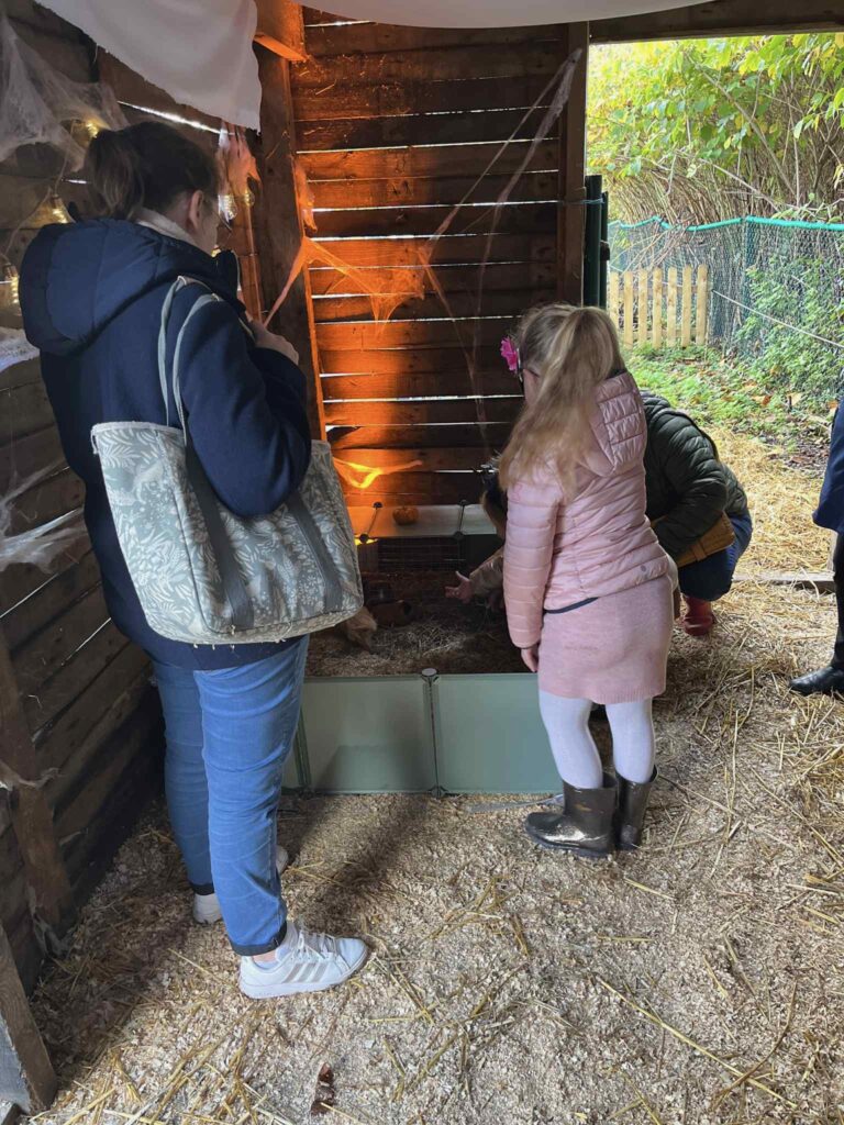 Halloween à la ferme Museaux et Sabots