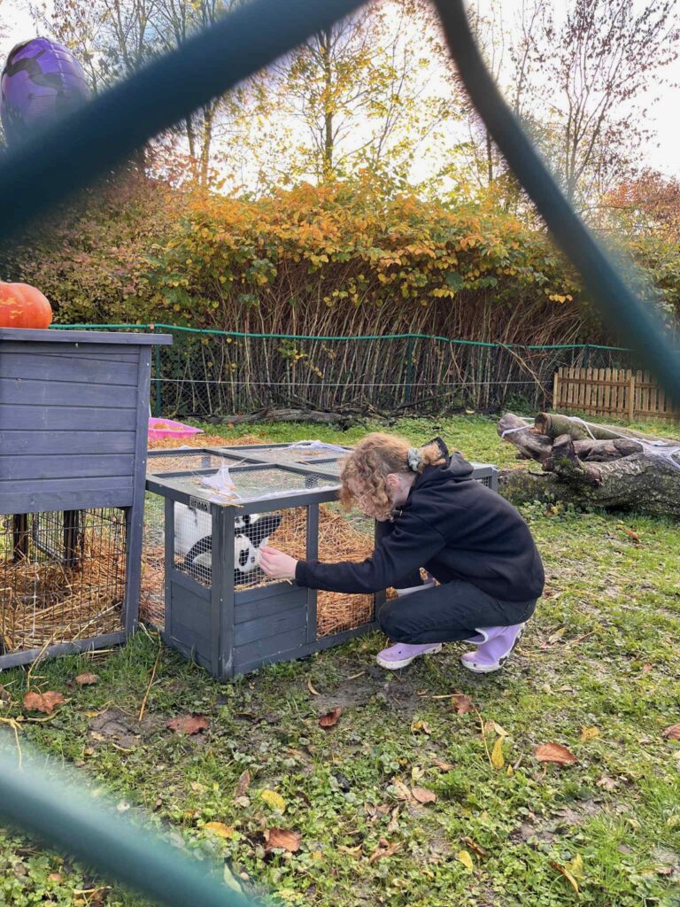 Halloween à la ferme Museaux et Sabots