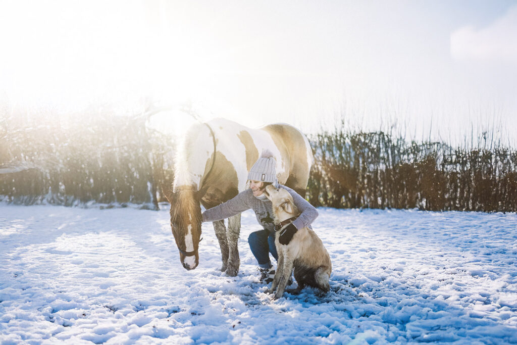 Séance de médiation animale avec poney et chien – relation et bien-être animal