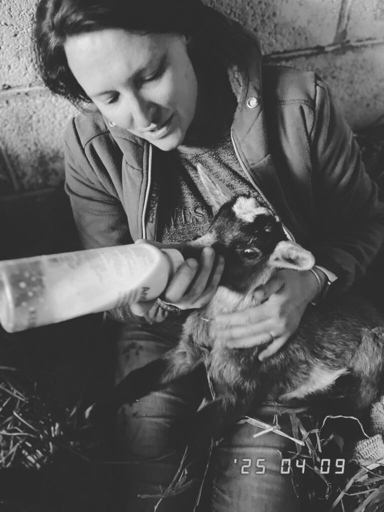 Soins quotidiens apportés aux animaux partenaires en médiation animale