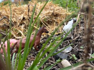 Ferme pédagogique itinérante Haut de France