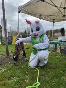 Ferme pédagogique itinérante chèvre
