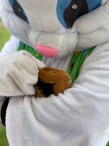 Ferme pédagogique et d'animation itinérante Lille