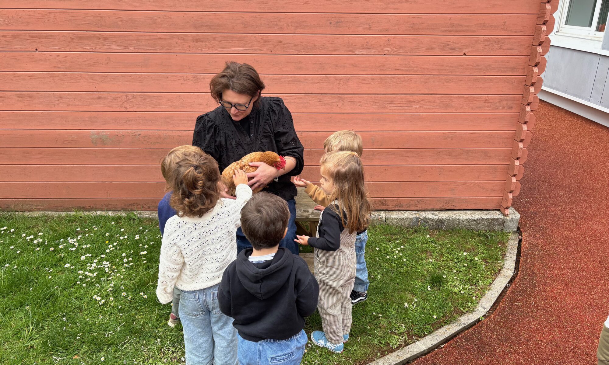 Animation médiation animale petite enfance dans le Nord