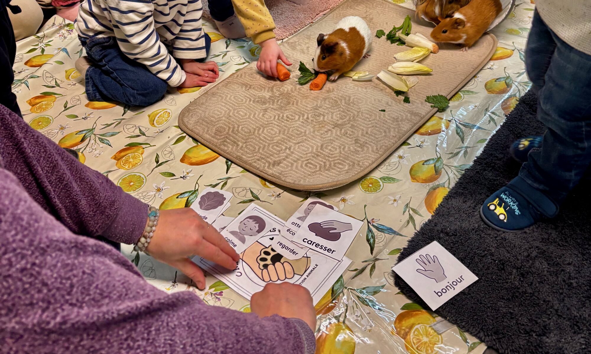 Séance de médiation animale avec des enfants à la crèche Le Tipi de Hem