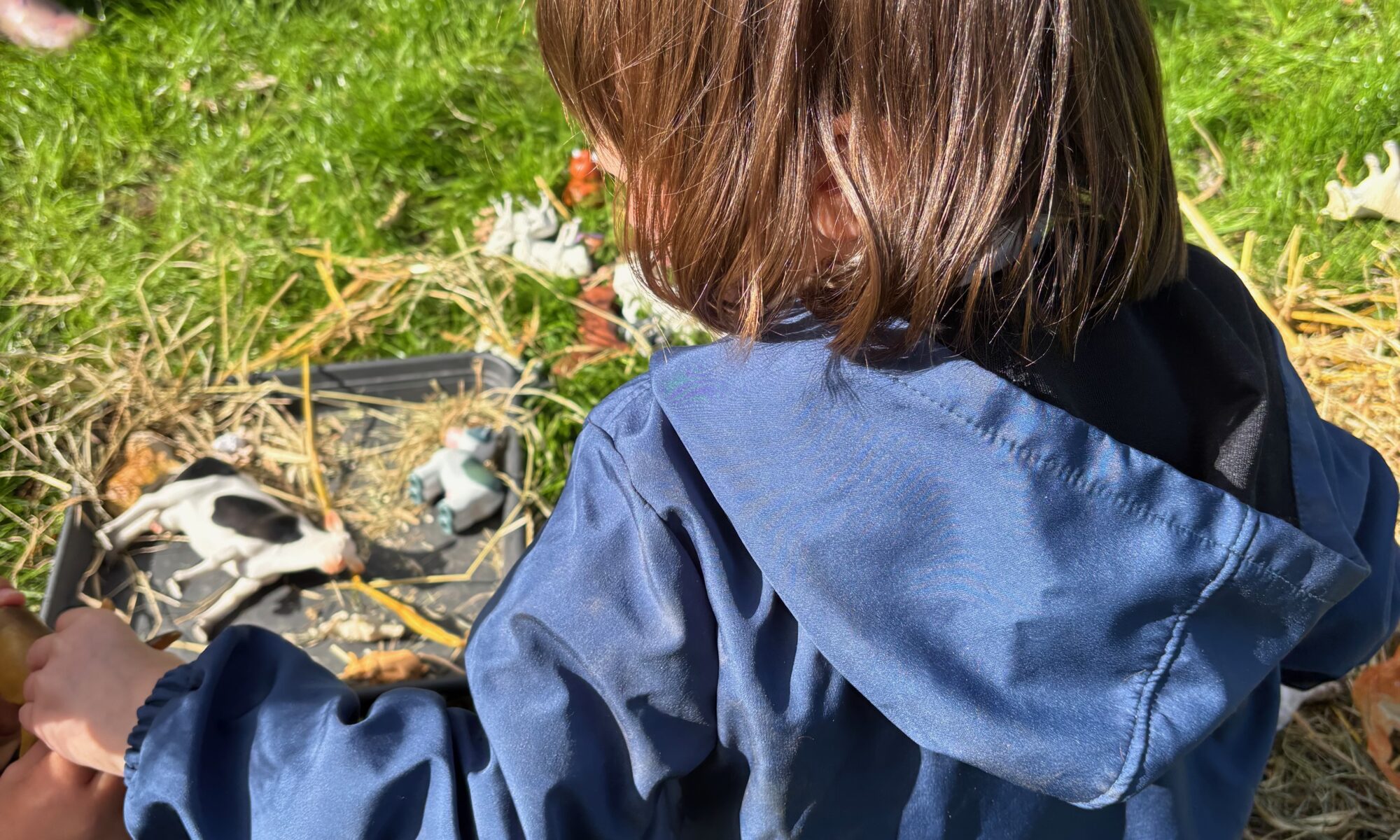 Découvrez un projet de médiation animale pour enfants imaginé par des étudiants du CRFPE de Lille et proposé au JEA du PPEML.